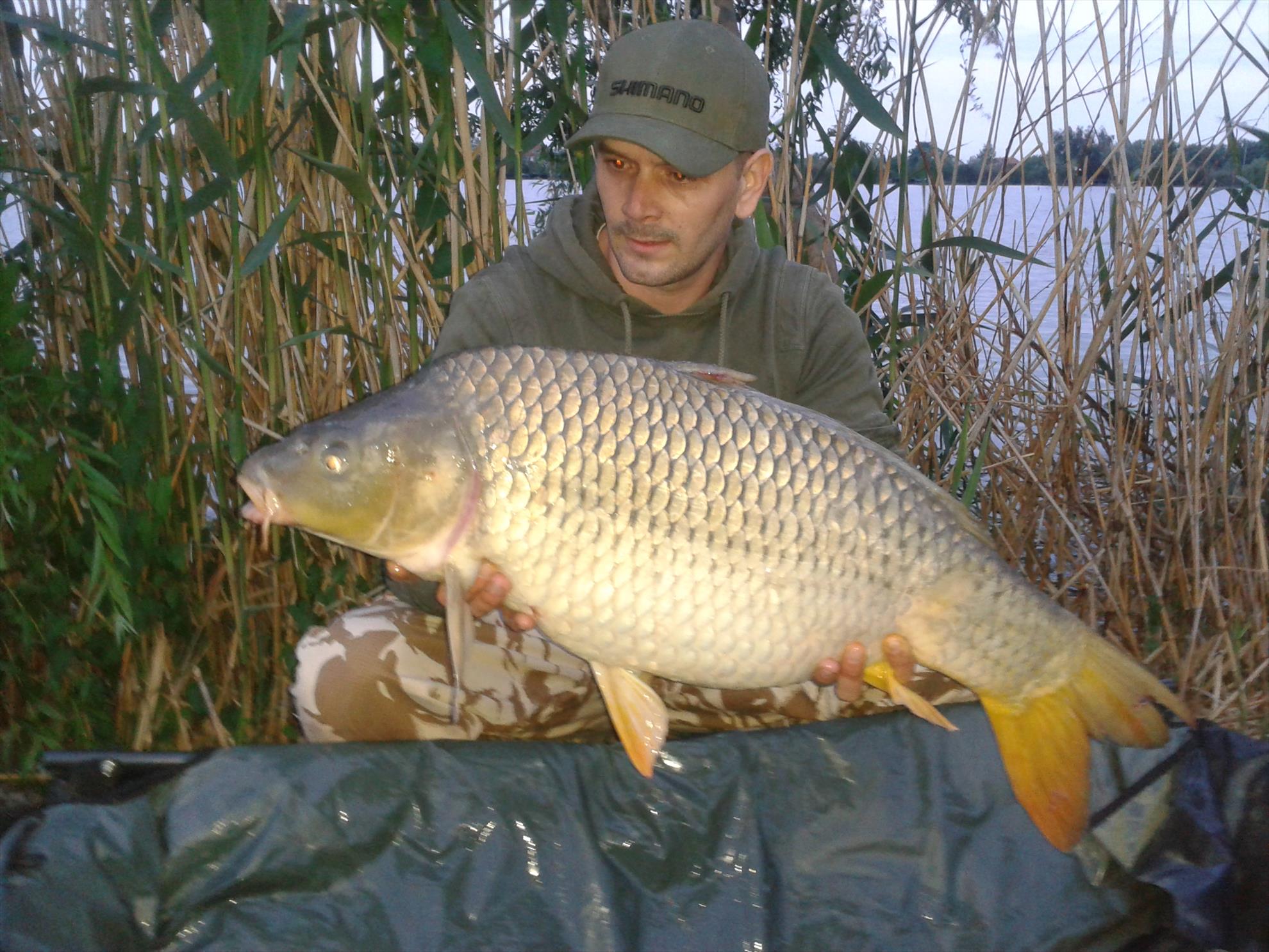 15-17.05.2015 - 20150515195228.jpg